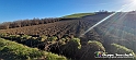20230110_153537 - Dalla terra... il grano